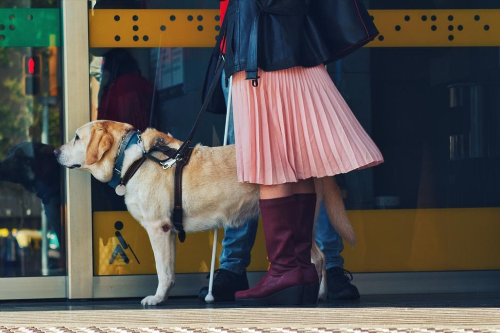 Premio Cataluña: una joven ciega con su perro guía a las puertas de un centro de la ONCE 
