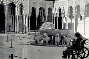 Premio Andalucía: Una persona en silla de ruedas en el Patio de los Leones de la Alhambra