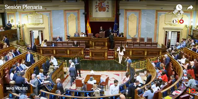 Captura de vídeo de una reunión del Pleno del Congreso 