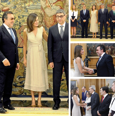 Collage de imágenes de la audiencia al Consejo General (Copyright Casa Real)
