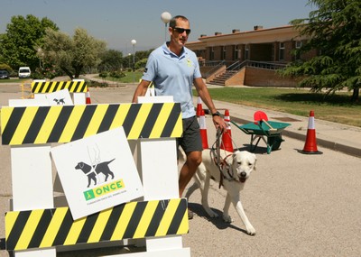 Un instructor prepara a uno de los perros a manejarse entre calles y obstáculos
