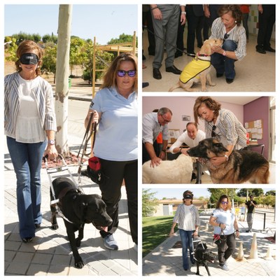 Collage de imágenes de distintos momentos de la visita