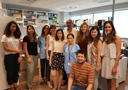 Grupo de investigación en Biomedicina Molecular, Celular y Genómica del Instituto valenciano La Fé 
