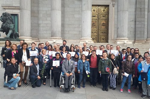 Intengrantes del CERMI y diputados frente al Congreso