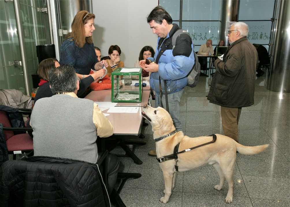 Afiliado junto a su perro guía vota en la DT de Madrid