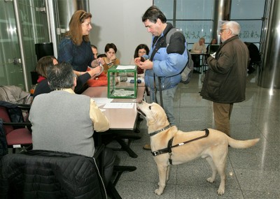 Afiliado junto a su perro guía vota en la DT de Madrid