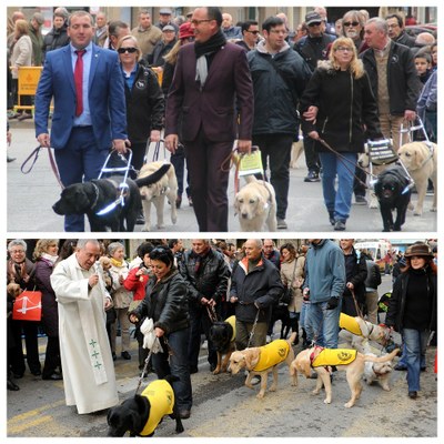 Collage de los desfiles de perros guía en Valencia (arriba) y Madrid