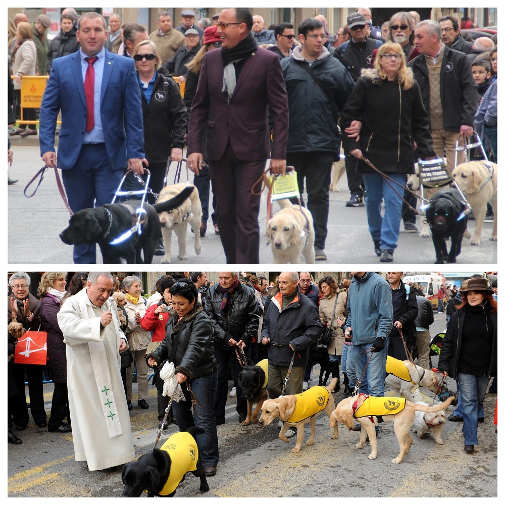 Collage de los desfiles de perros guía en Valencia (arriba) y Madrid