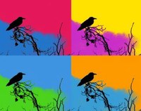 Collage pájaros