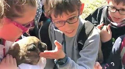 Acariciando a un cachorro de mastín