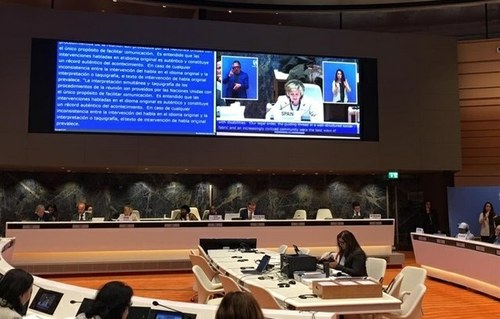 Carcedo expone en el Plenario de Ginebra la aplicación en España de la CDPD
