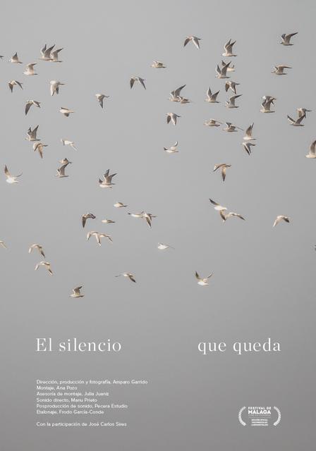 Cartel de "El silencio que queda"