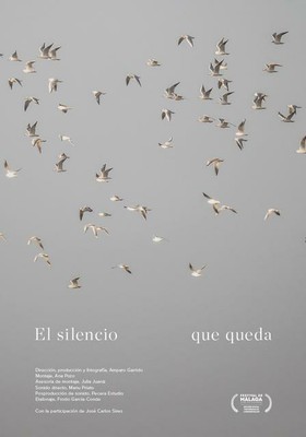 Cartel de "El silencio que queda"
