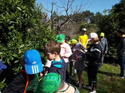 El grupo llega a la finca donde realizaron la actividad sobre biodiversidad
