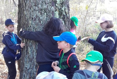 Pequeños afiliados conociendo al tacto las características y perímetro de los grandes árboles de la finca