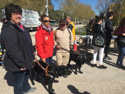 Instructora y usuarios de perros guía participantes en las jornadas