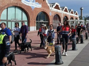 Usuarios de perros guía valencianos pasean con sus animales por el centro de Castellón