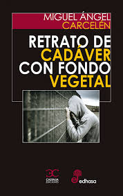 Premio de Novela