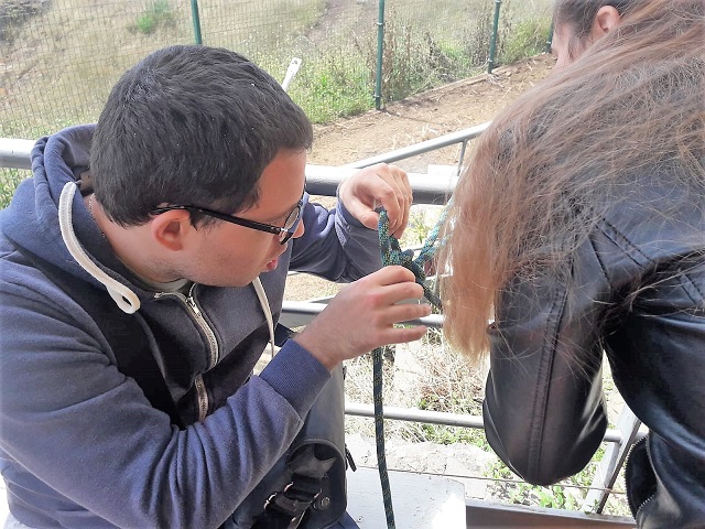 Aprendiendo a hacer un lazo