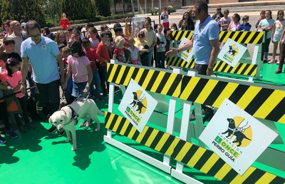 Los niños, principales protagonistas del circuito con perros guía durante el Día de la ONCE en Navarra