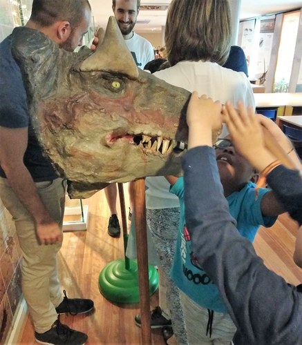 Tocando la reproducción de una cabeza de dinosaurio