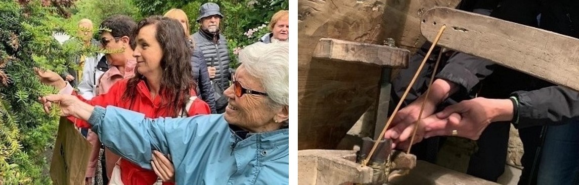 A la izquierda, varias afiliadas conocen al tacto la flora característica del bosque. A la derecha,  sintiendo, también al tacto, cómo cae el grano molido en el molino