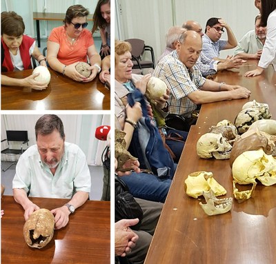 Collage con distintos momentos de la demostración táctil con cráneos y otros restos óseos
