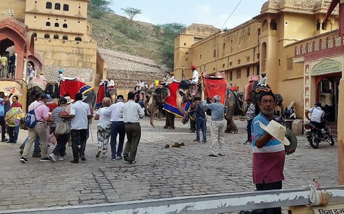 El grupo se dirige, en una plaza de Jaipur, a tomar los elefantes con los que subirán hasta el fuerte Amber