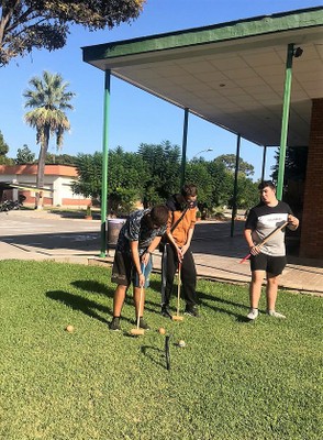 Afinando en el juego del croquet