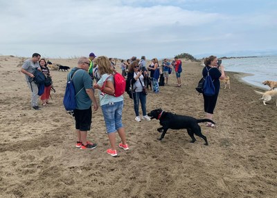 Usuarios de perros  guía catalanes conversan a orillas del Mediterráneo durante la jornada de convivencia