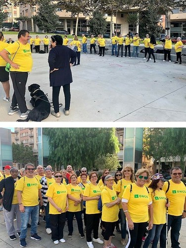 Collage con los afiliados haciendo estiramientos (arriba) y concentrados para la salida (abajo)