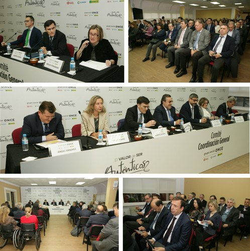 Distintos momentos de los plenarios del CCG