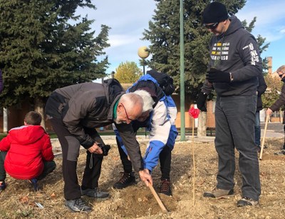 Un afiliado, ayudado por un voluntario, planta una sabina en el parque de Villamayor