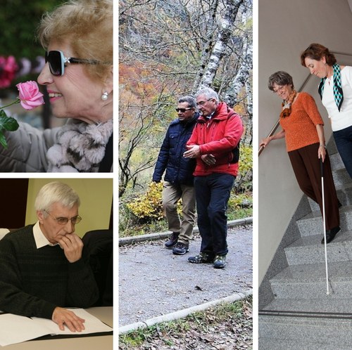 Collage de imágenes de afiliados y afiliadas con voluntarios y técnicos de rehabilitación