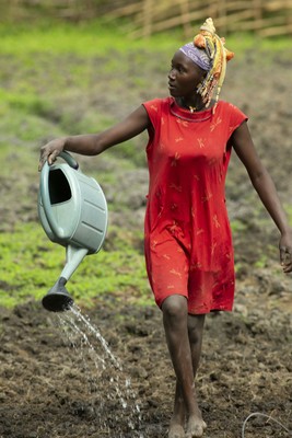 Una mujer regando el huerto