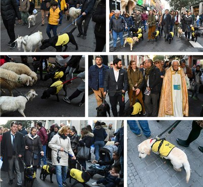 Collage de imágenes de usuarios de perros guía, familias cuidadoras, etc. durante las Vueltas de San Antón