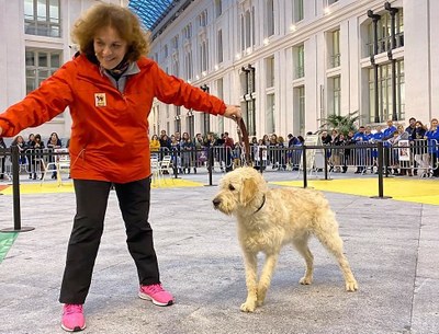 Una instructora de la FOPG con uno de los perros en formación, durante la exhibición en Cibeles
