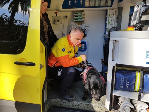 Anaïs, junto a un sanitario y su perra guía 'Cometa', dentro de la ambulancia