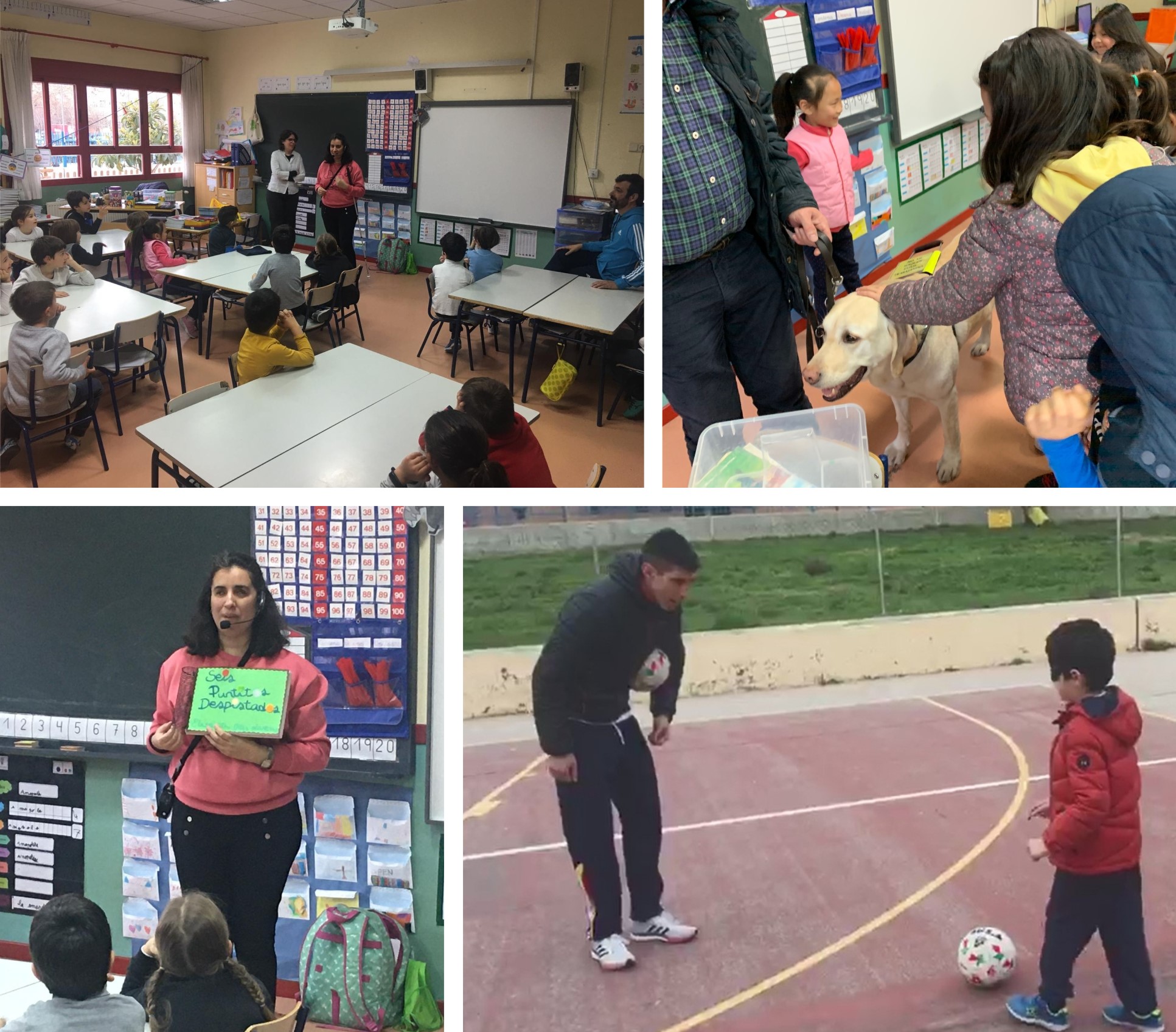 Collage de imágenes de los distintos talleres con los escolares