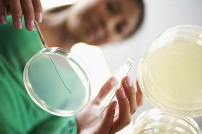 Imagen alusiva a las mujeres científicas Imagen alusiva a las mujeres científicas