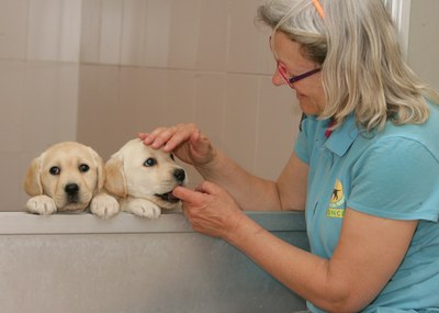 Trabajadora FOPG con dos cachorro