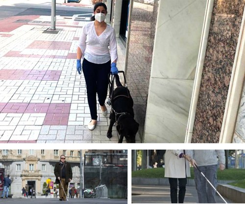 Collage de imágen de afiliados con perro guía y bastón