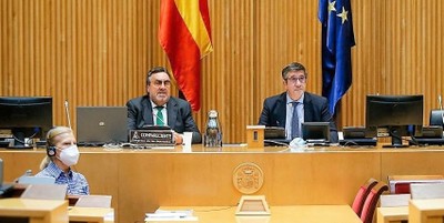 Carballeda, junto a Patxi López, se dirige a los miembros de la Comisión