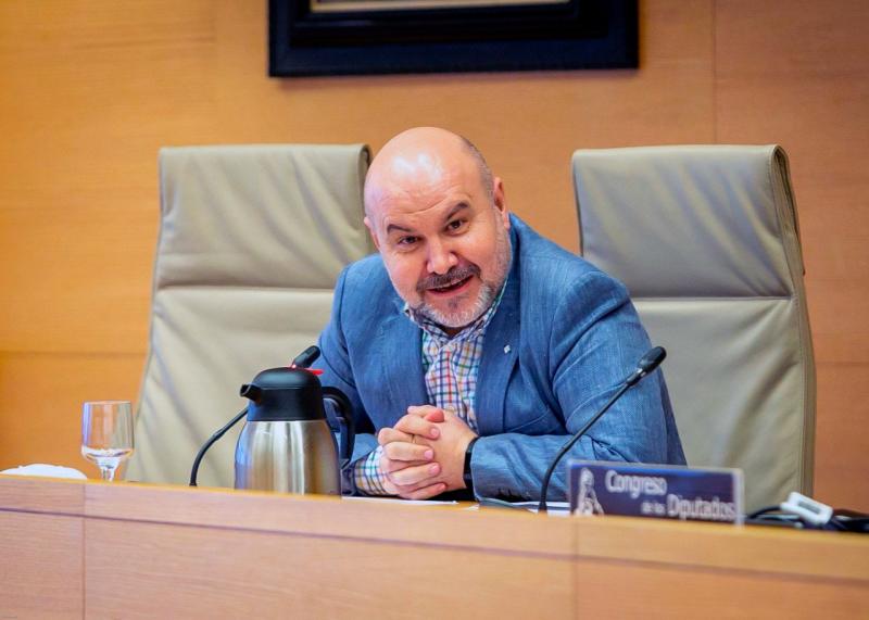 Luis Cayo Pérez, presidente del CERMI, en el Congreso