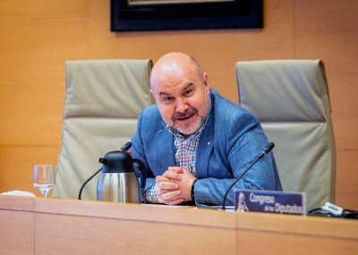 Luis Cayo Pérez, presidente del CERMI, en el Congreso