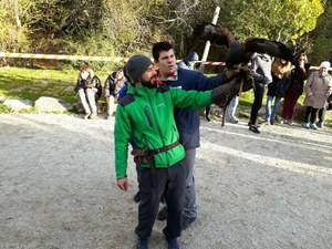 Campamento de otoño la Fundación Deporte y Desafío
