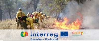 Imagen de la web de CILIFO