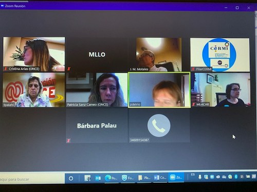 Captura de imagen de la conferencia virtual con los diferentes interlocutores