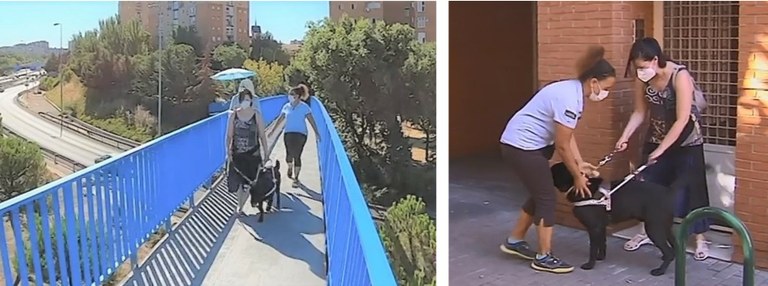 La usuaria practica cruzando un puente urbano, y a la derecha recibiendo la visita de la instructora