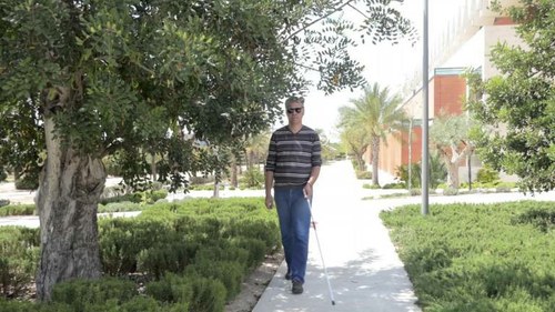 Una persona ciega que pasea por un parque se acerca a un árbol con cuyas ramas más bajas puede fácilmente tropezar 
